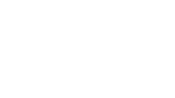 Eirsure logo